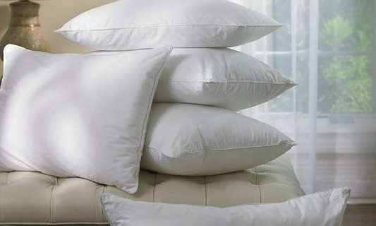 Pakistan's Best Pillow